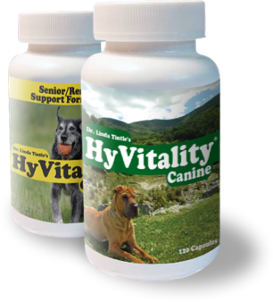 HyVitality Canine & Renal
