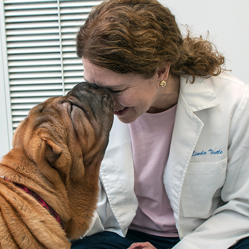 Dr. Linda Tintle