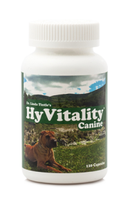 Hyvitality Canine Original