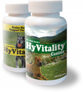 HyVitality Canine & Renal