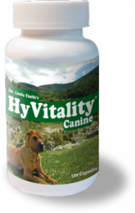 Hyvitality Canine Original