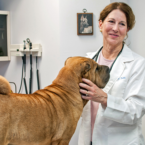 Dr. Linda Tintle